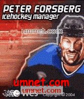 game pic for FORSBERG ICEHOCKEY MANAGER